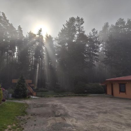 Oaze Smiltene Dış mekan fotoğraf